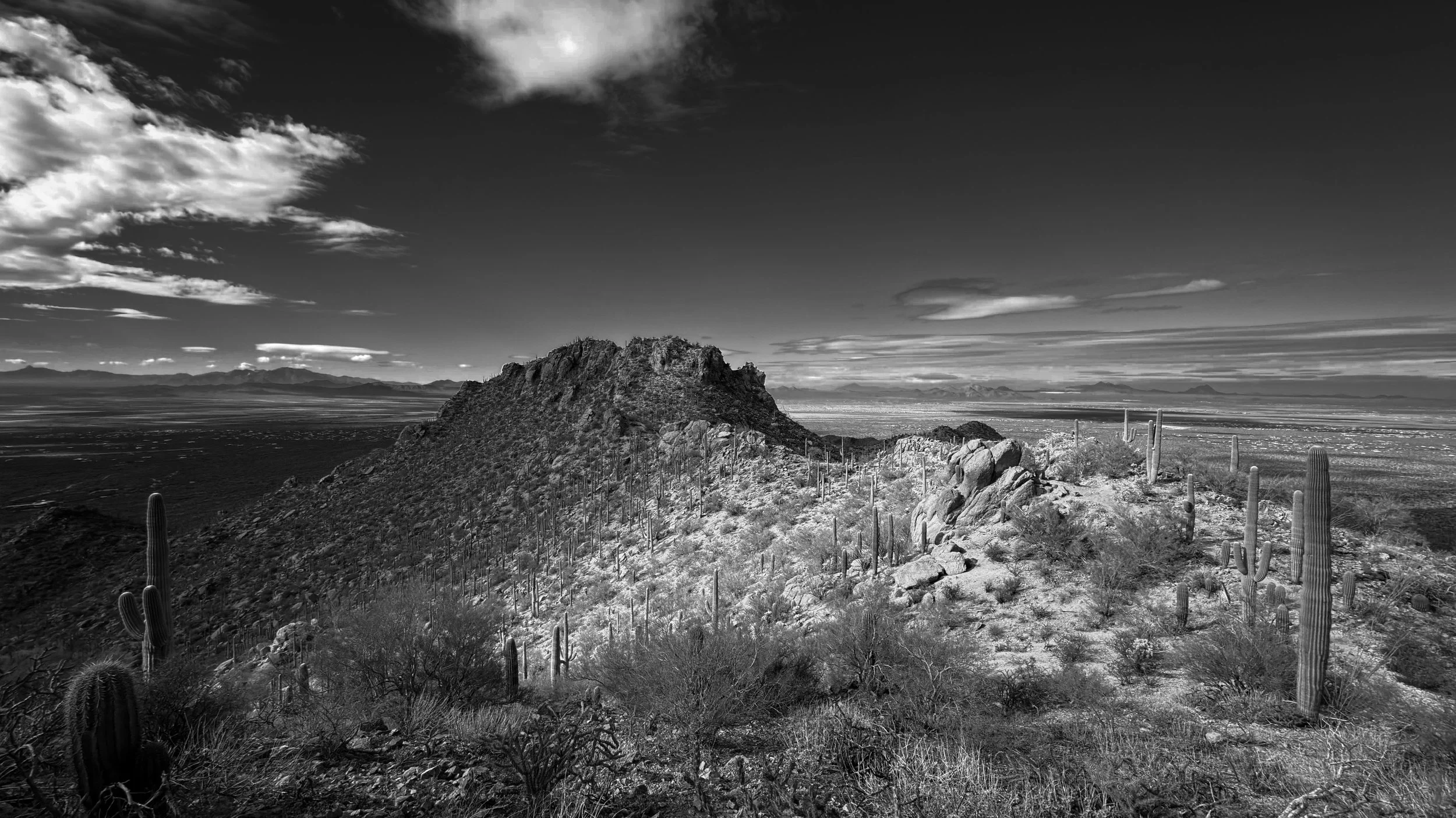 Tucson Mountains