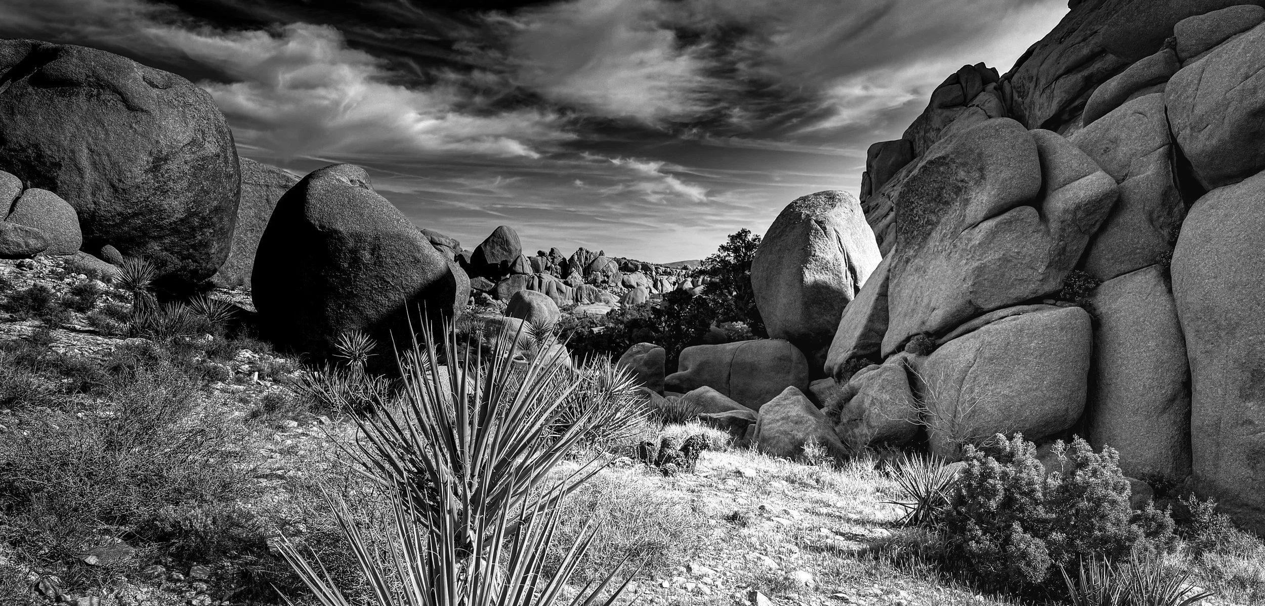 Black and white landscape of a desert with large boulders, dry vegetation, and a cloudy sky.