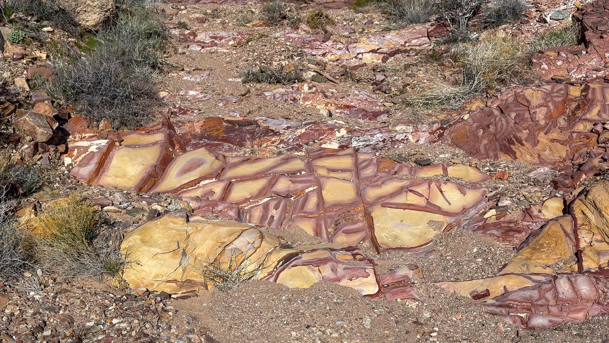 Very interesting rock outcrop.