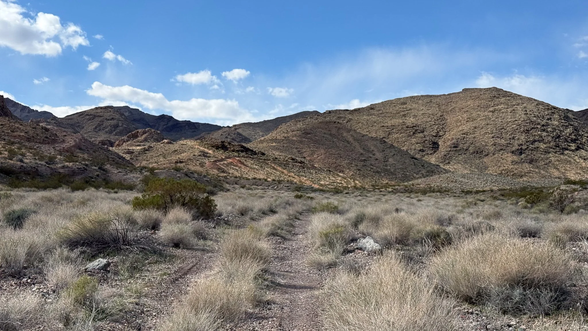 The intersection for the Paddys Pride Mine and the Gladstone Mine