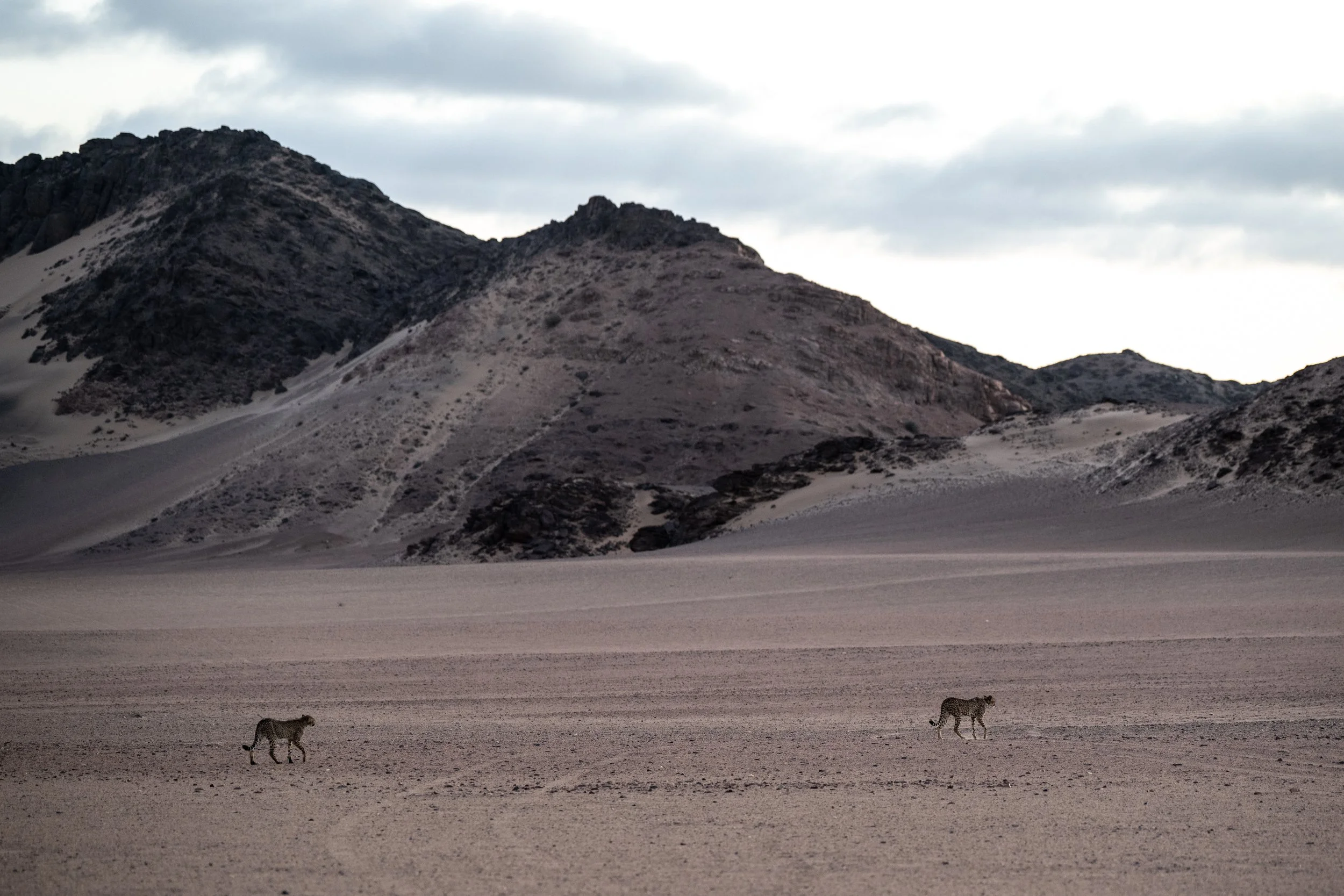 DSC_0027-Edit.jpg