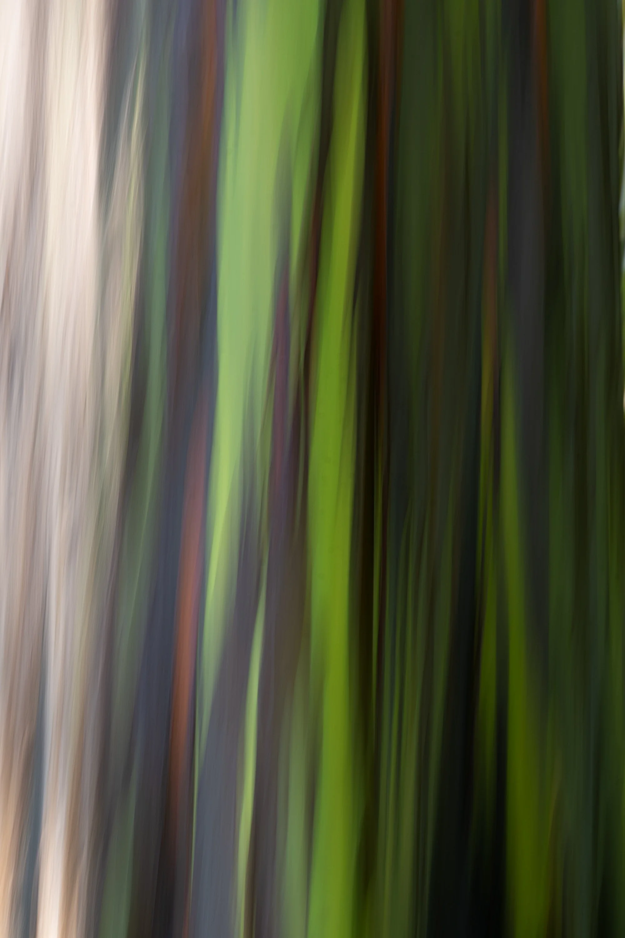 Z82_5156.jpg