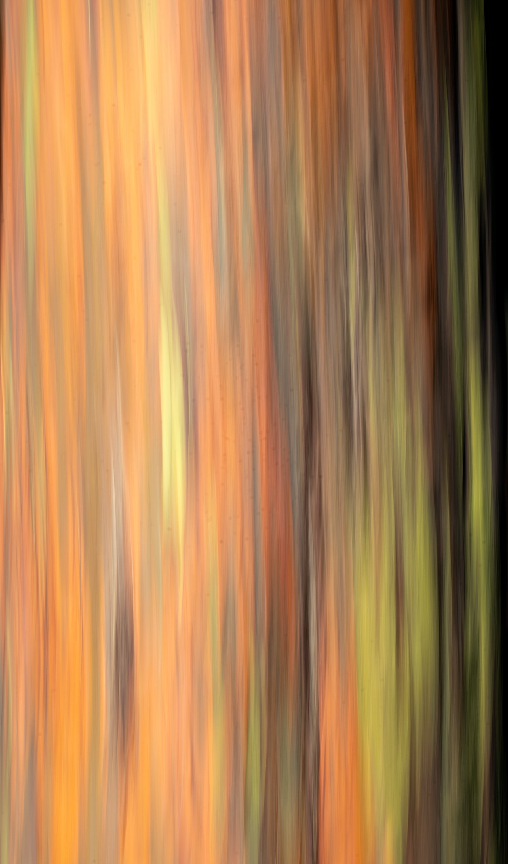 Z82_5158.jpg