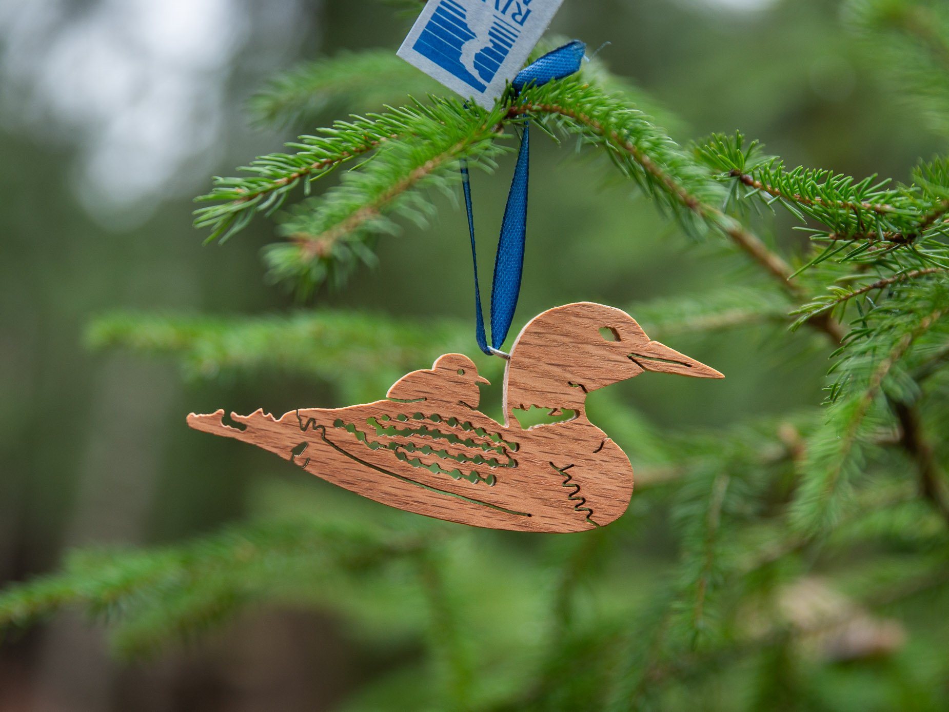 A laser-cut wooden bird ornament of a loon with a chick on its back and Manitoulin Island outlines hanging from a green pine branch with a blue ribbon.