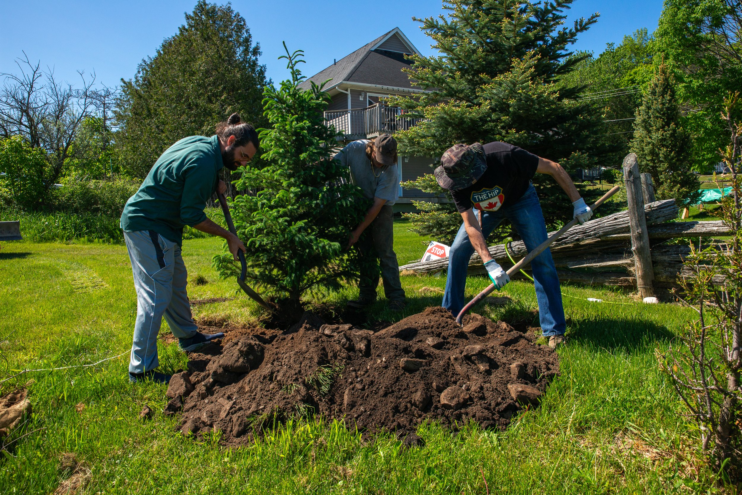 ManitoulinStreams_tree_planting-17.jpg