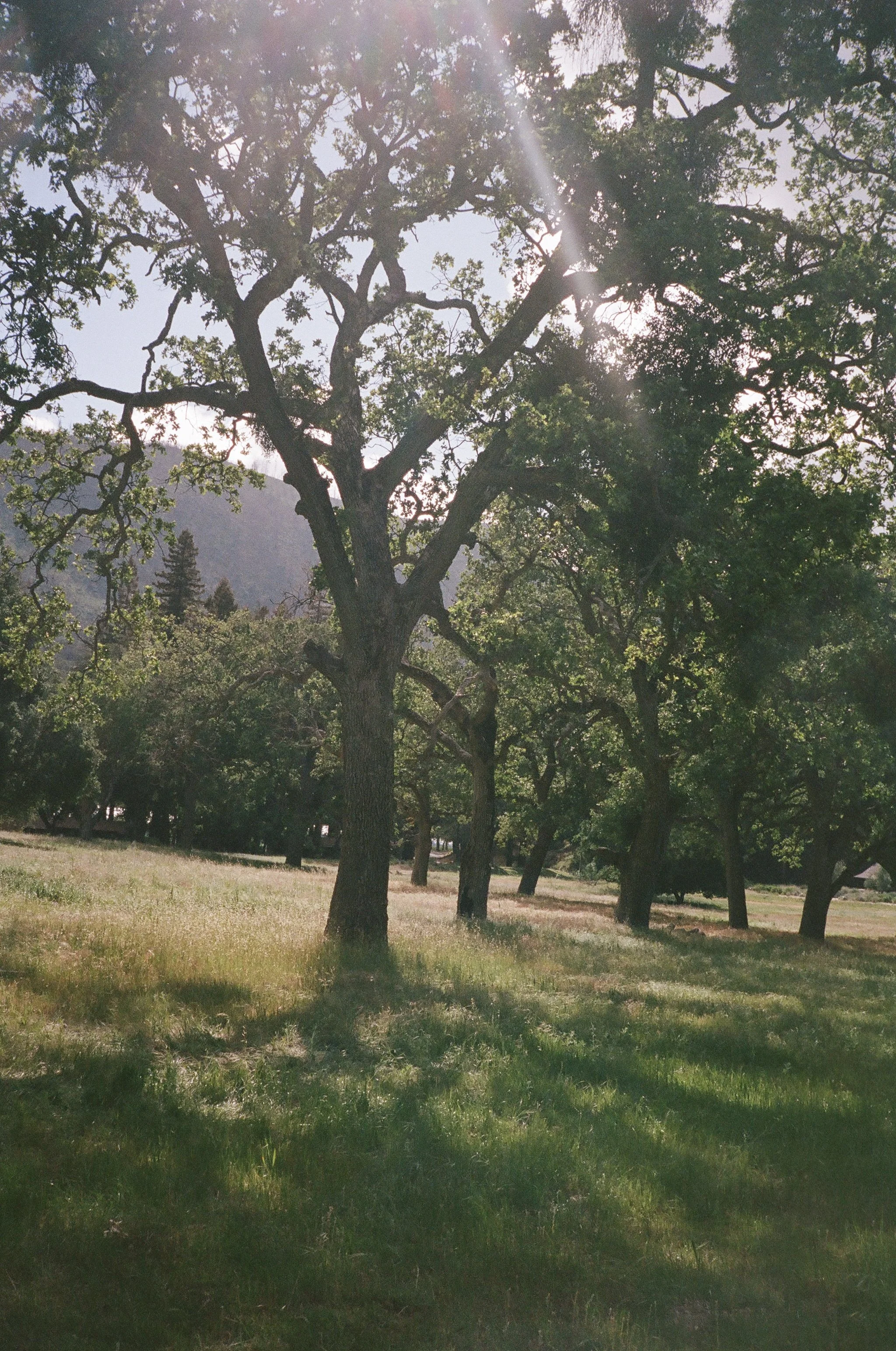 Zaca Lake34.jpg