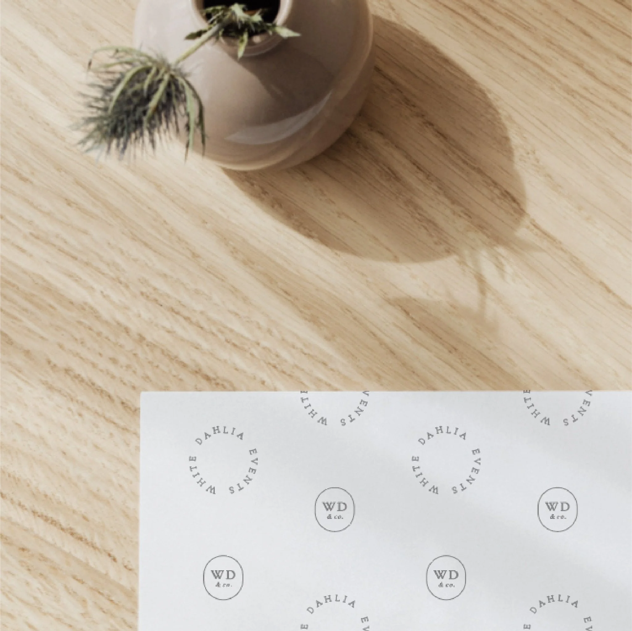 A round, beige vase with a small opening, placed on a light wooden surface. The vase contains a dried thistle flower plant. There is a piece of white paper or card with a circular logo and text that reads 'WD & Co.' and 'White Dahlia Events' partially visible at the bottom of the image.