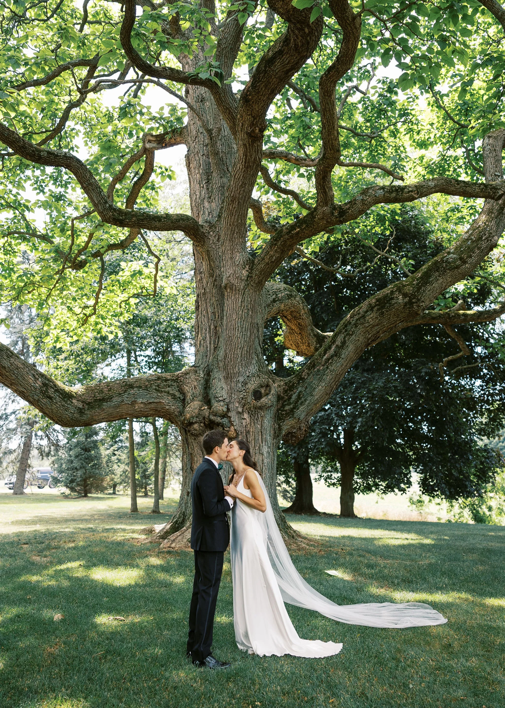 Couple in wedding attire sharing a kiss under a large tree in a park.