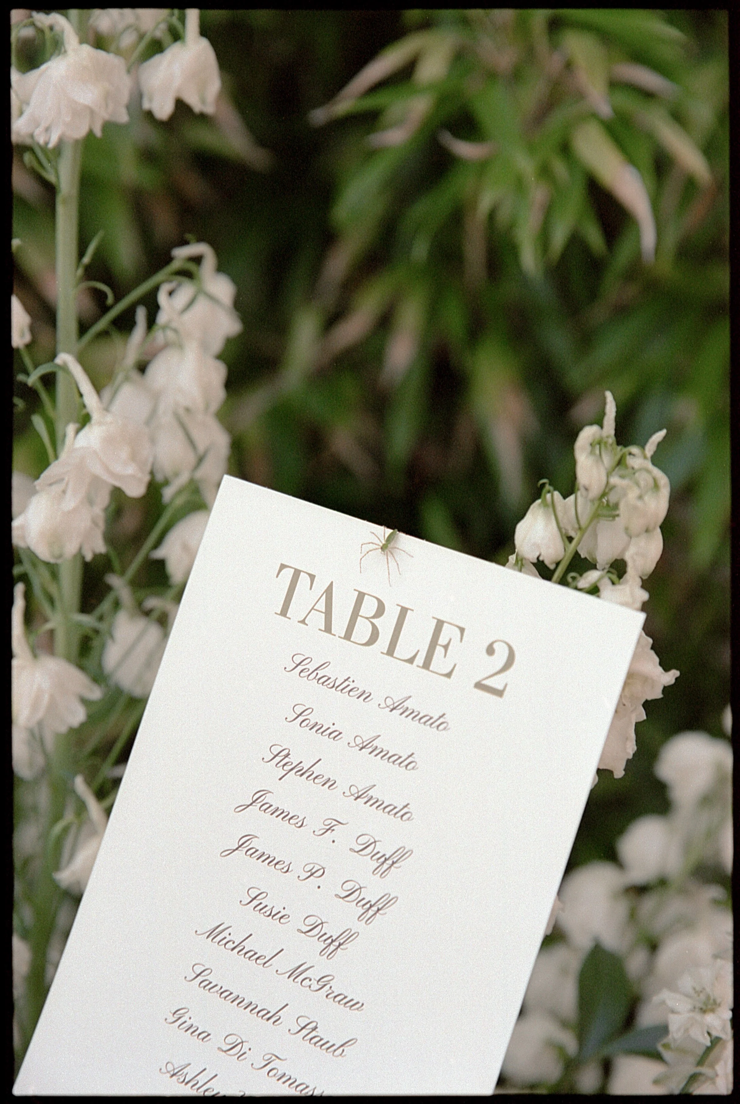 valeriethompsonphotography_EmilyAlex_Overview_0060.jpg