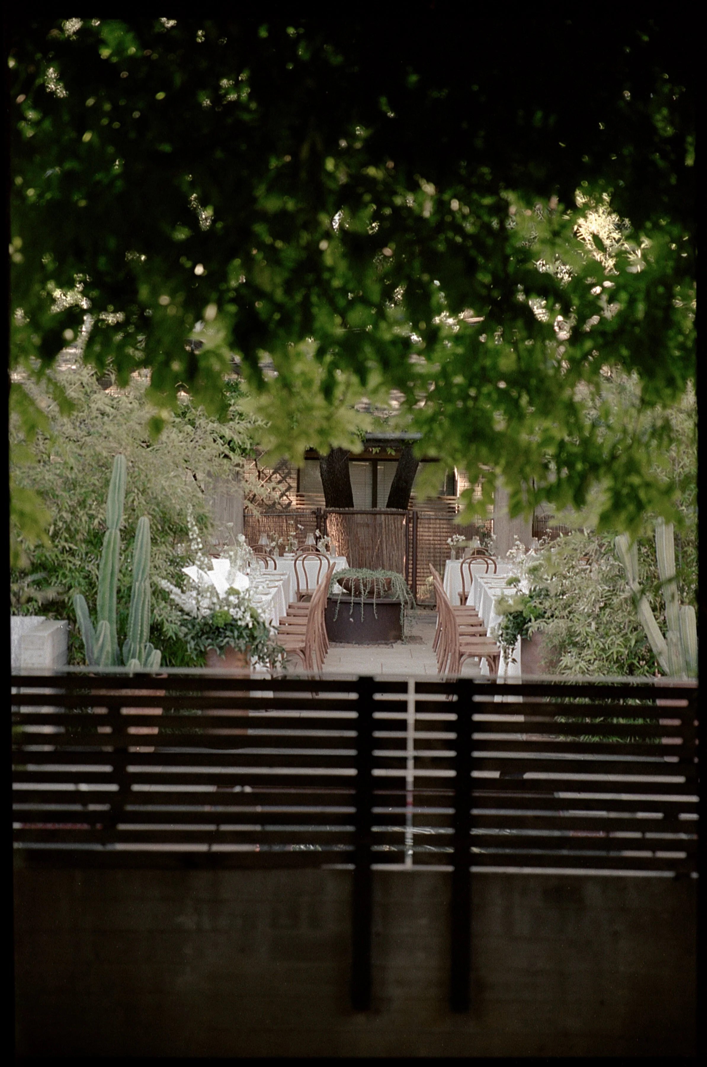 valeriethompsonphotography_EmilyAlex_Overview_0061.jpg