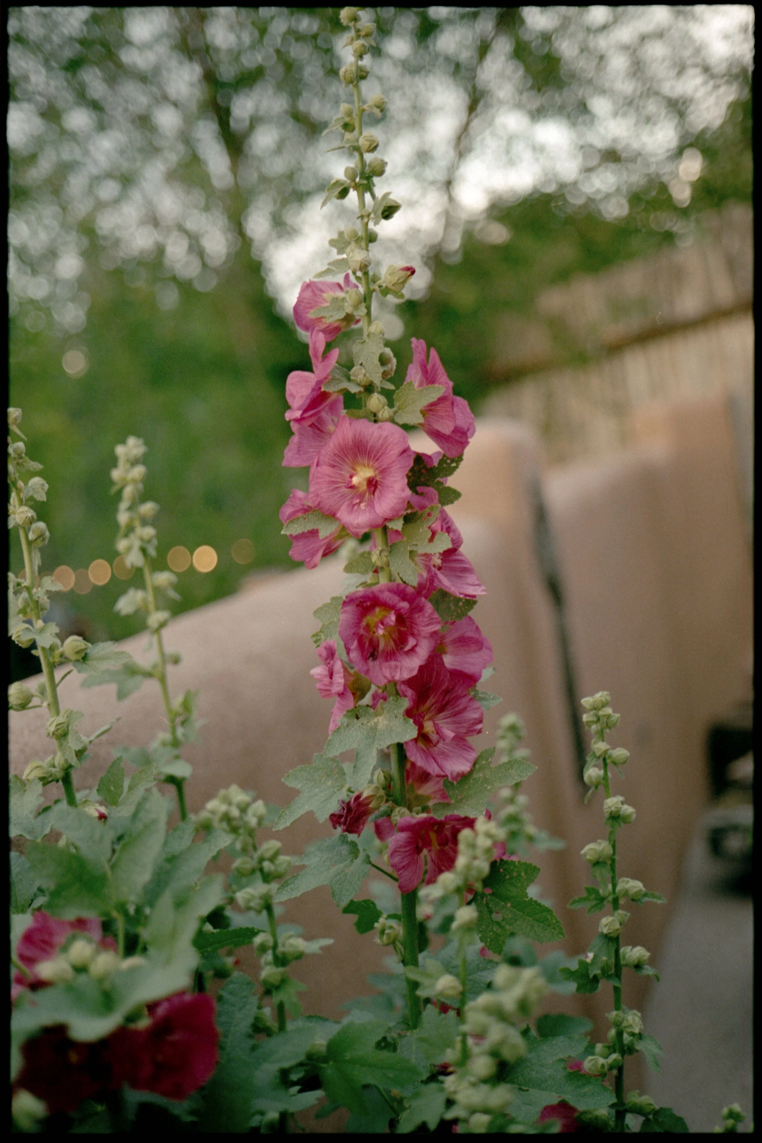 valeriethompsonphotography_LexiJustin_Overview_0004.jpg