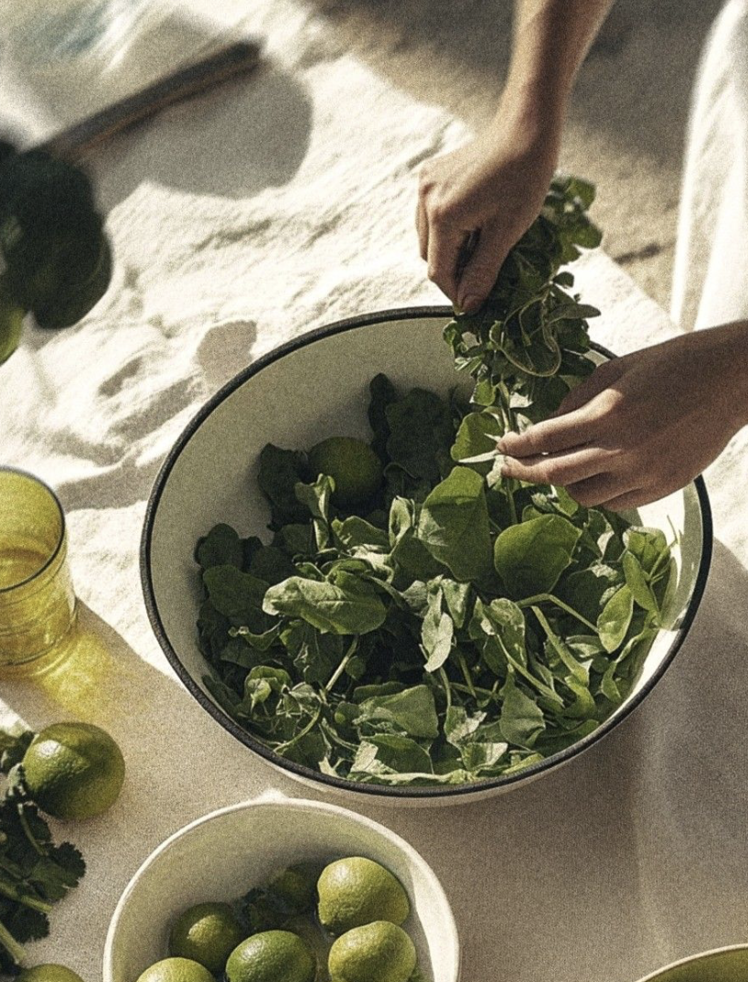 Screenshot 2026-03-29 at 10.11.06 PM.png