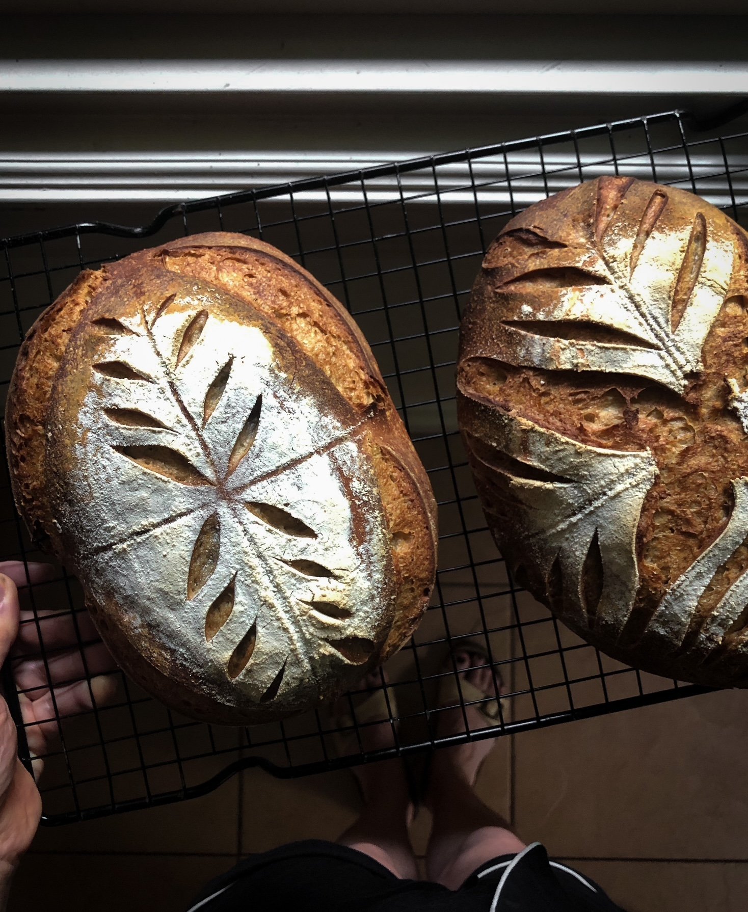 Intro to Sourdough Baking