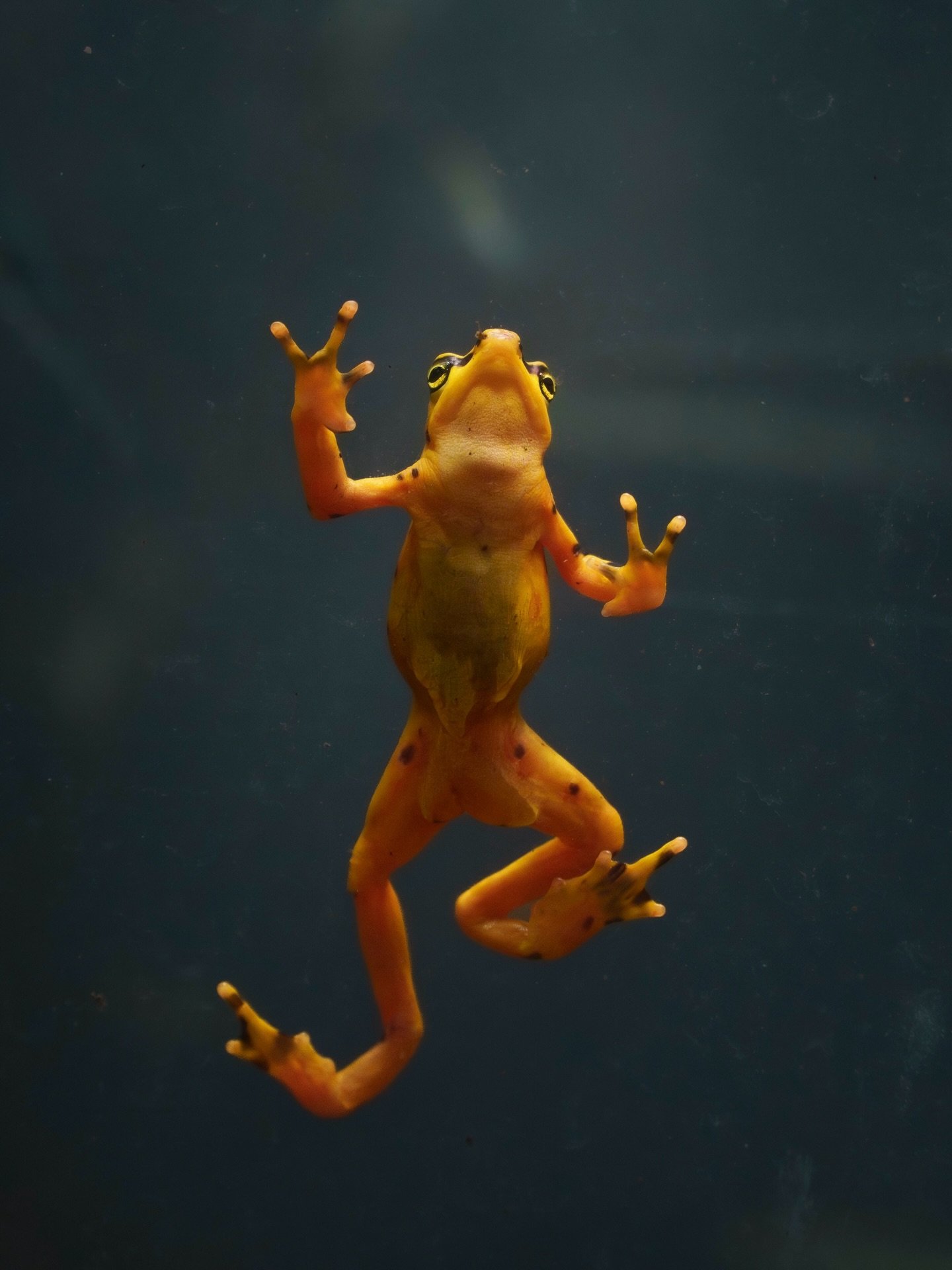 That&rsquo;s a wrap on 2025! The highs and lows were real this year. Grateful for it all, excited for what&rsquo;s next 🤙