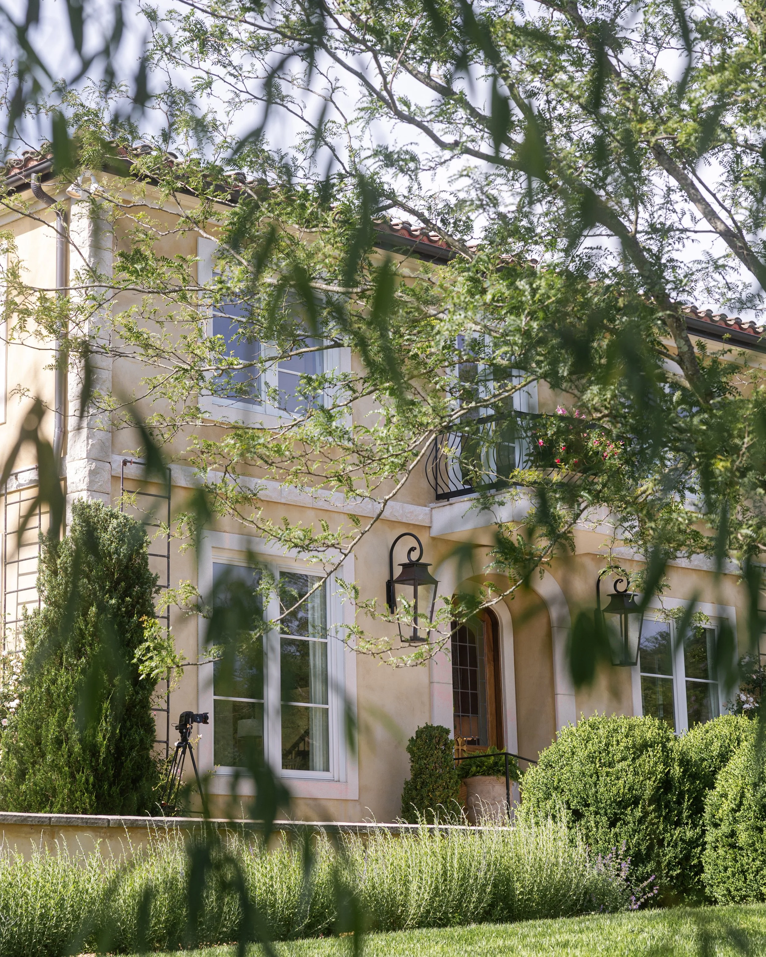 front through tree.jpg