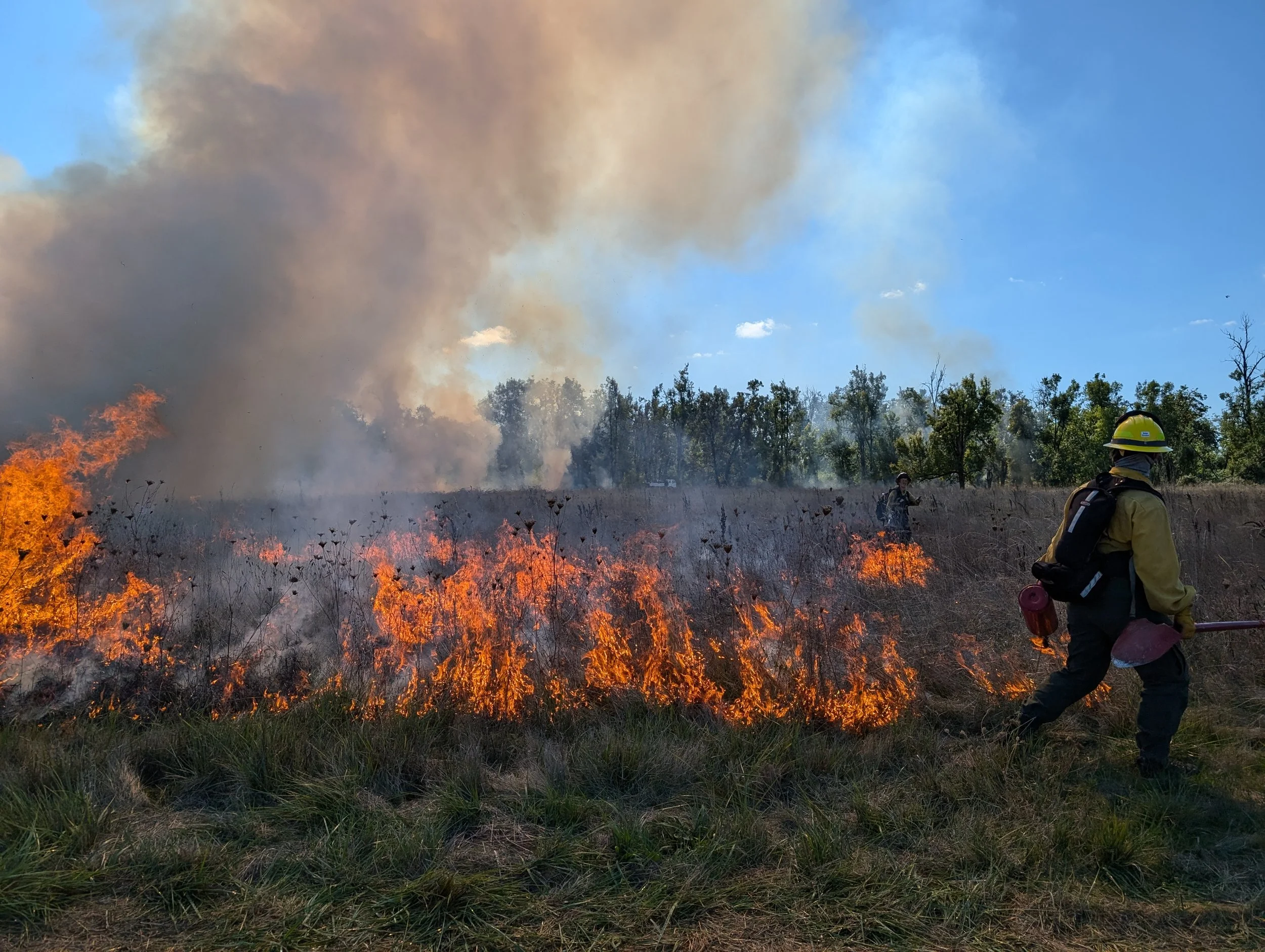 S-219: Firing Operations