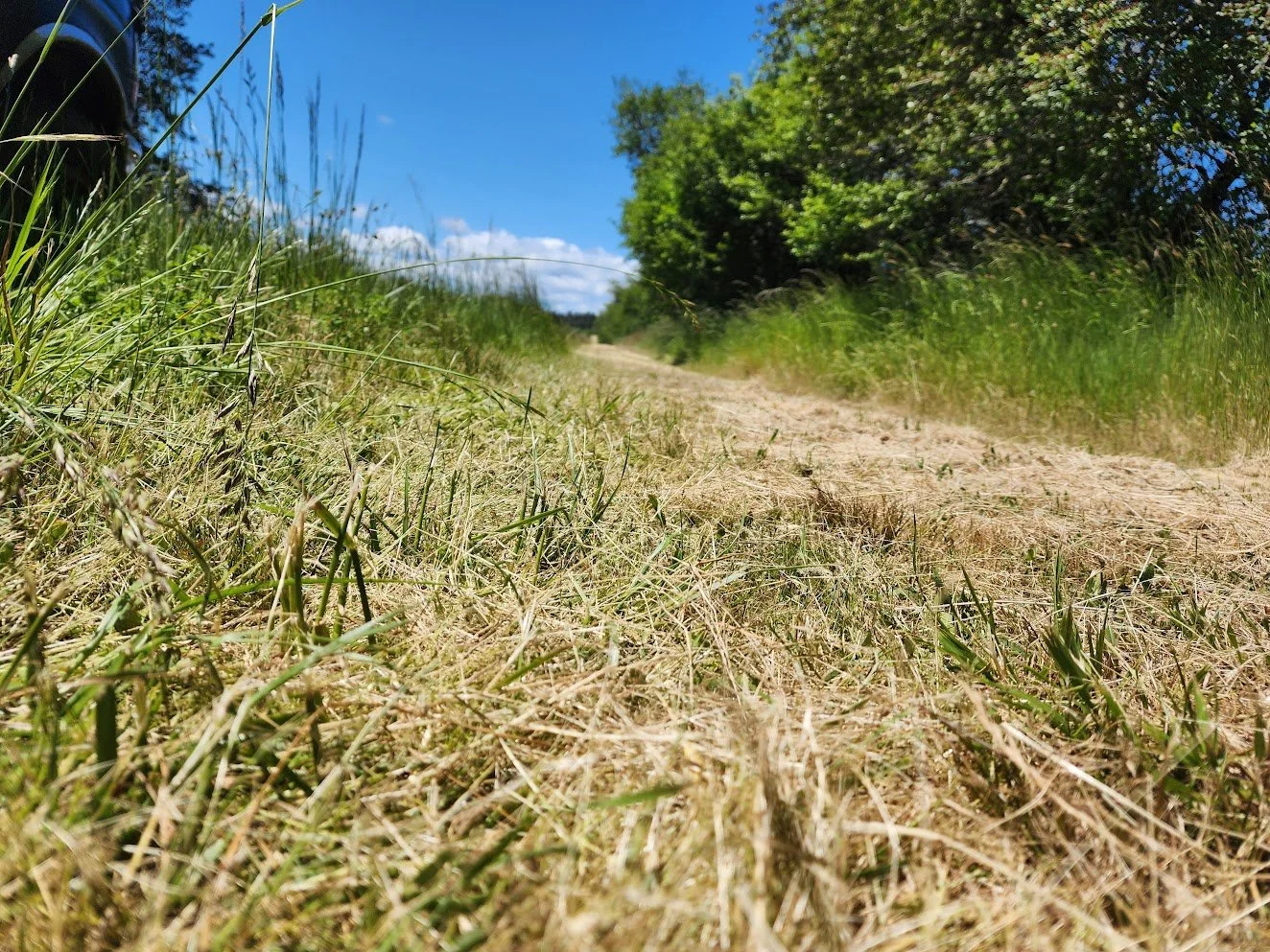 Work Capacity Fitness Test (Pack Test)