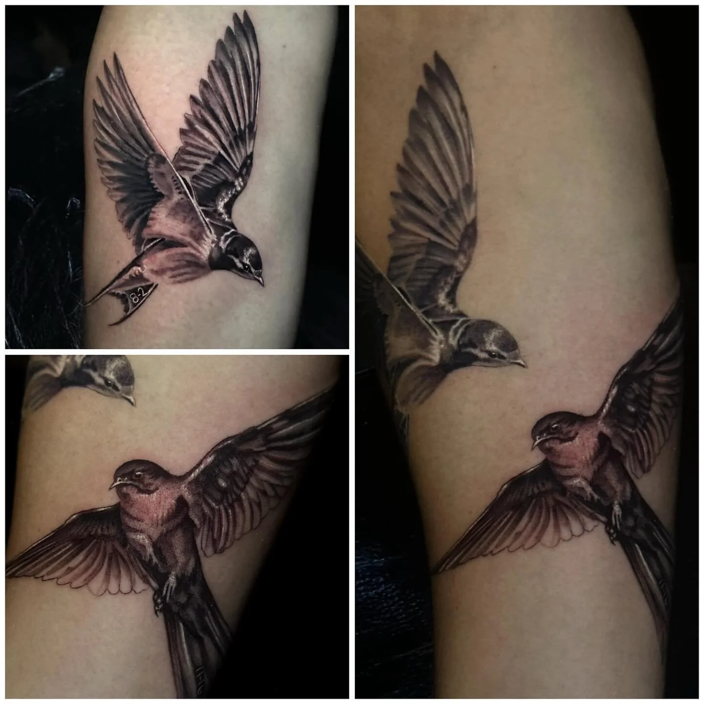 Little Bird(s) for @leongrassi, healed &amp; fresh! Video in my story!