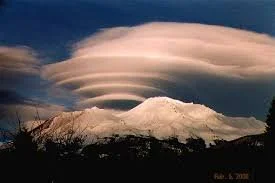 Mimzys &amp; Shasta 2009-2026