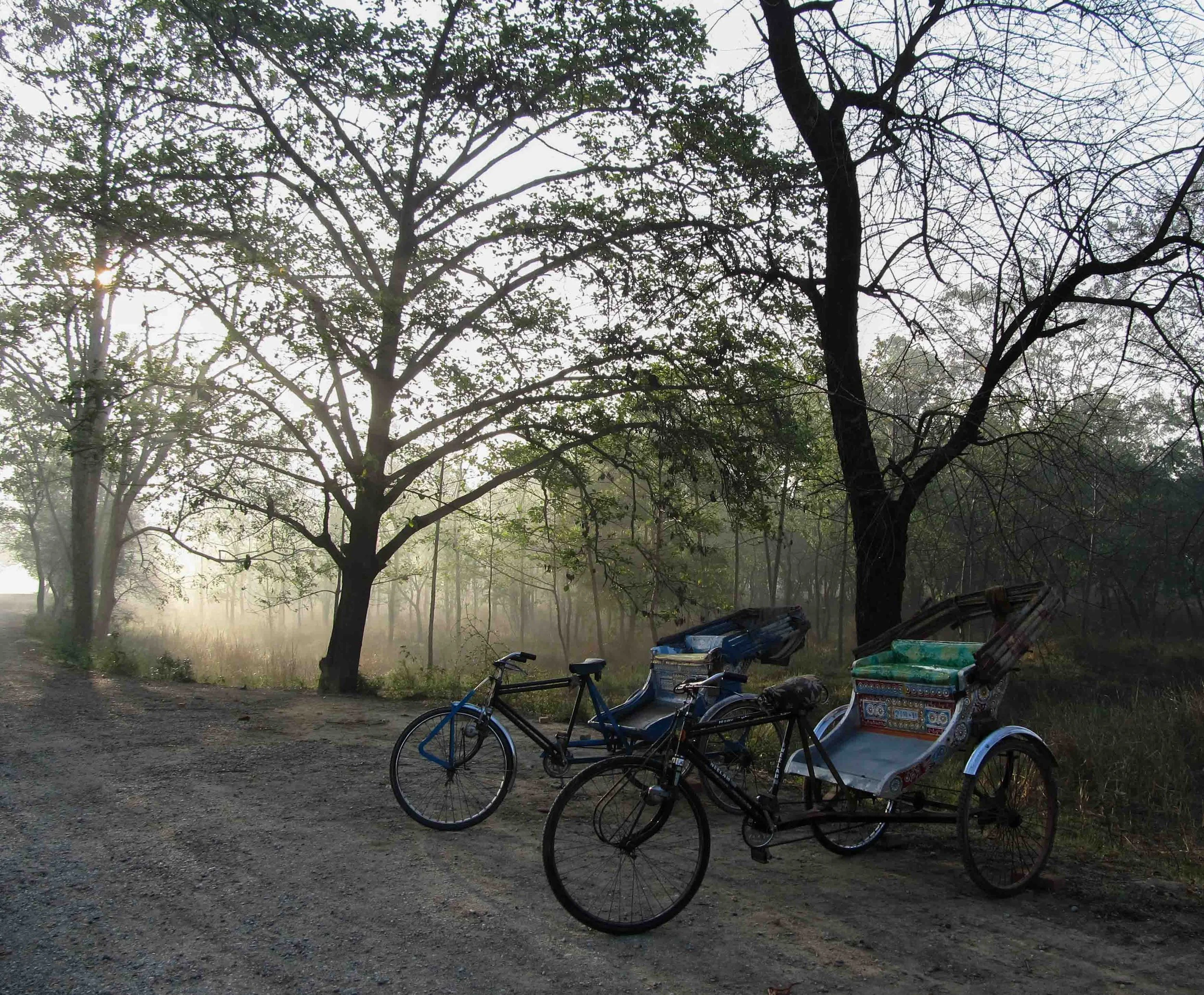 Pokhara to Lumbini 246.jpg