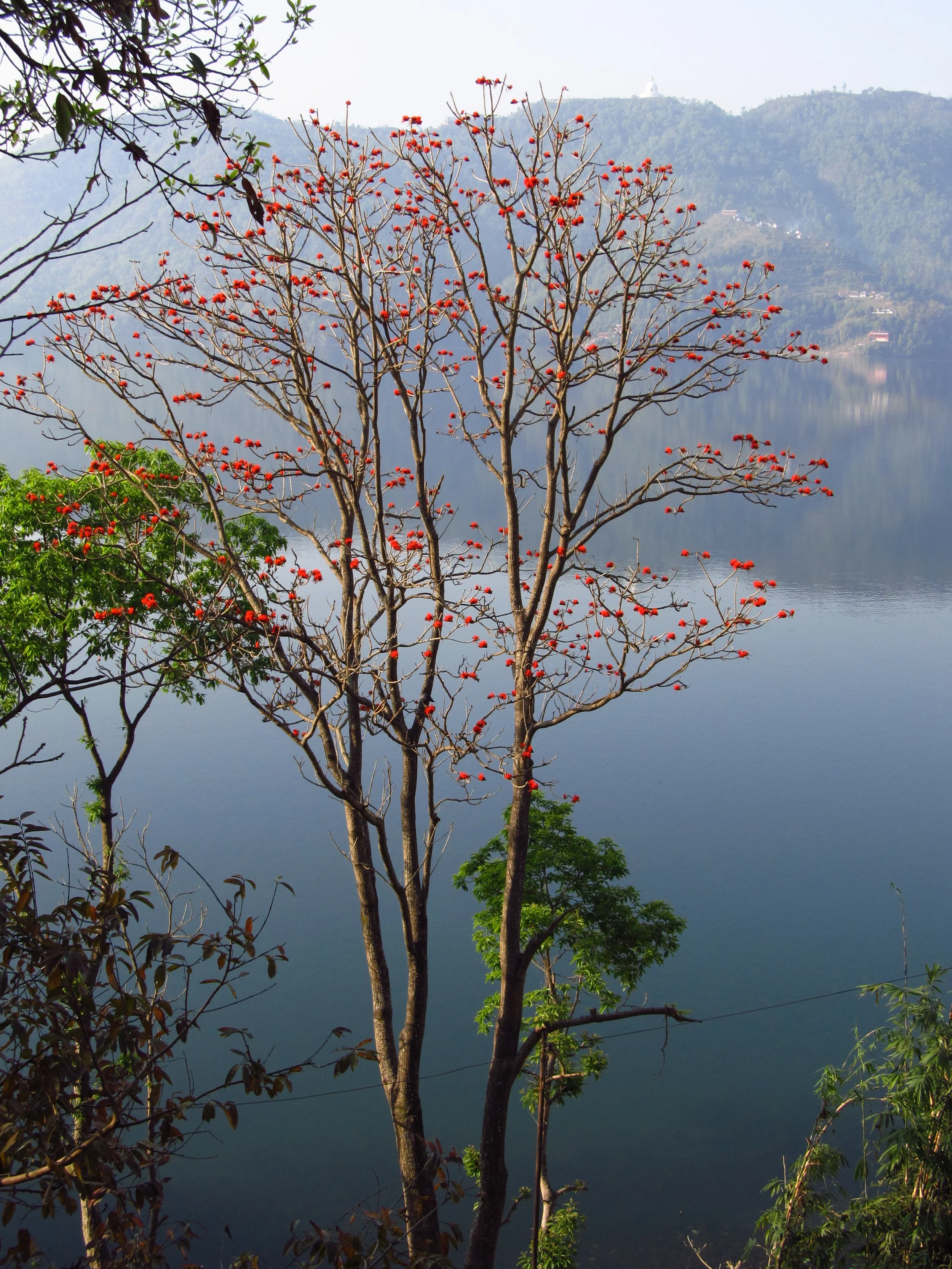 Pokhara to Lumbini 008.JPG