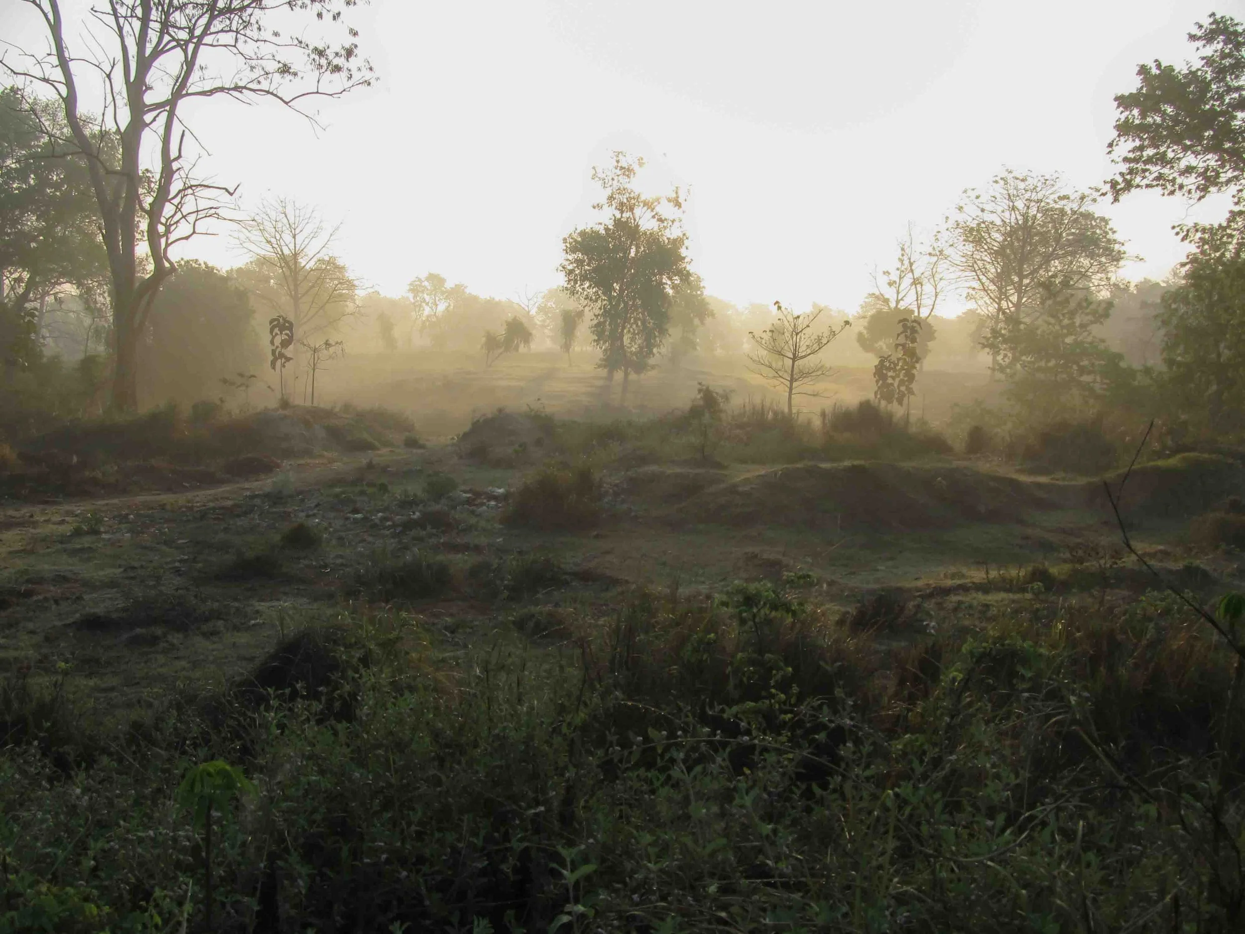 Pokhara to Lumbini 237.jpg