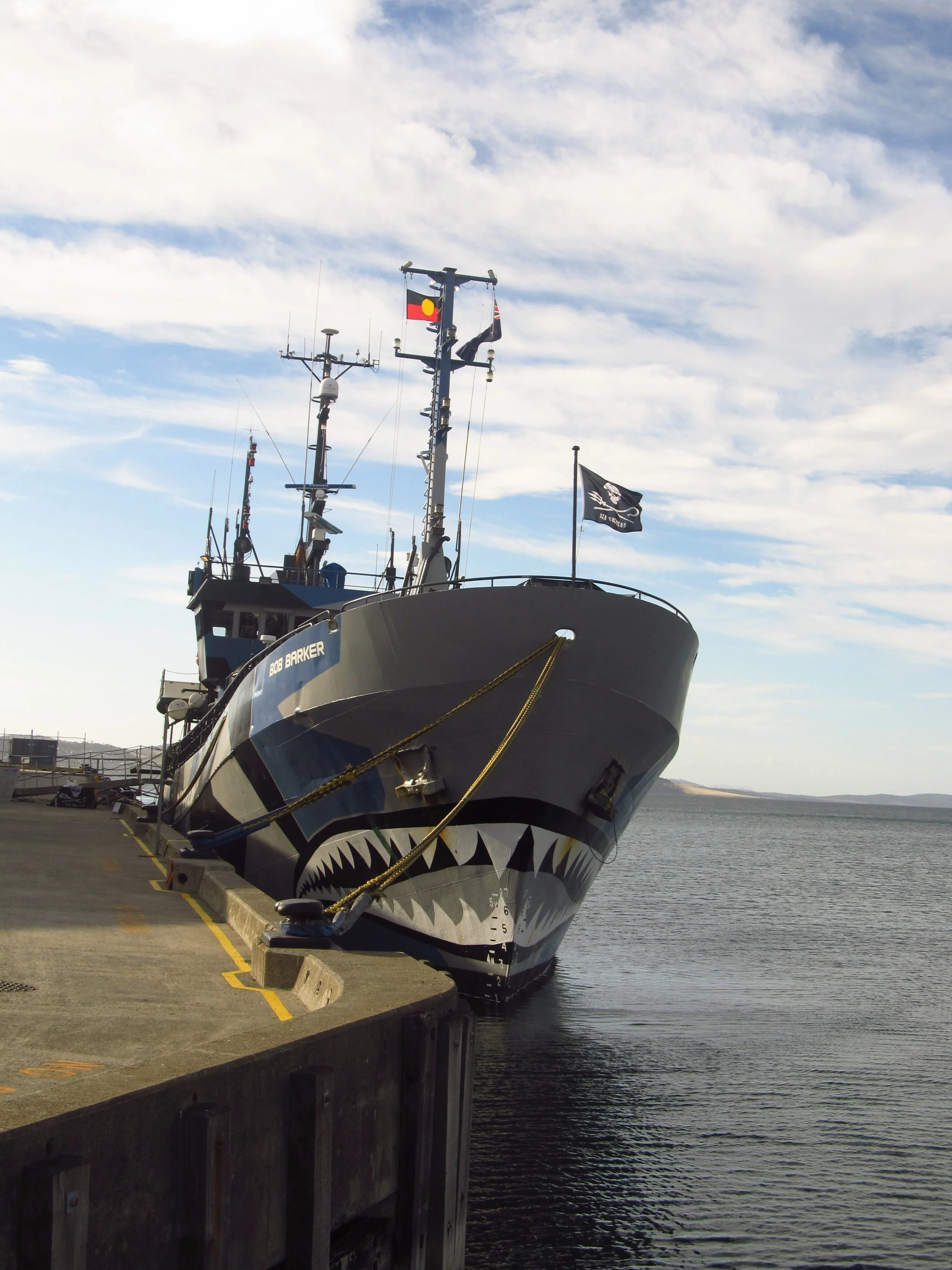 tas 12 101.jpg