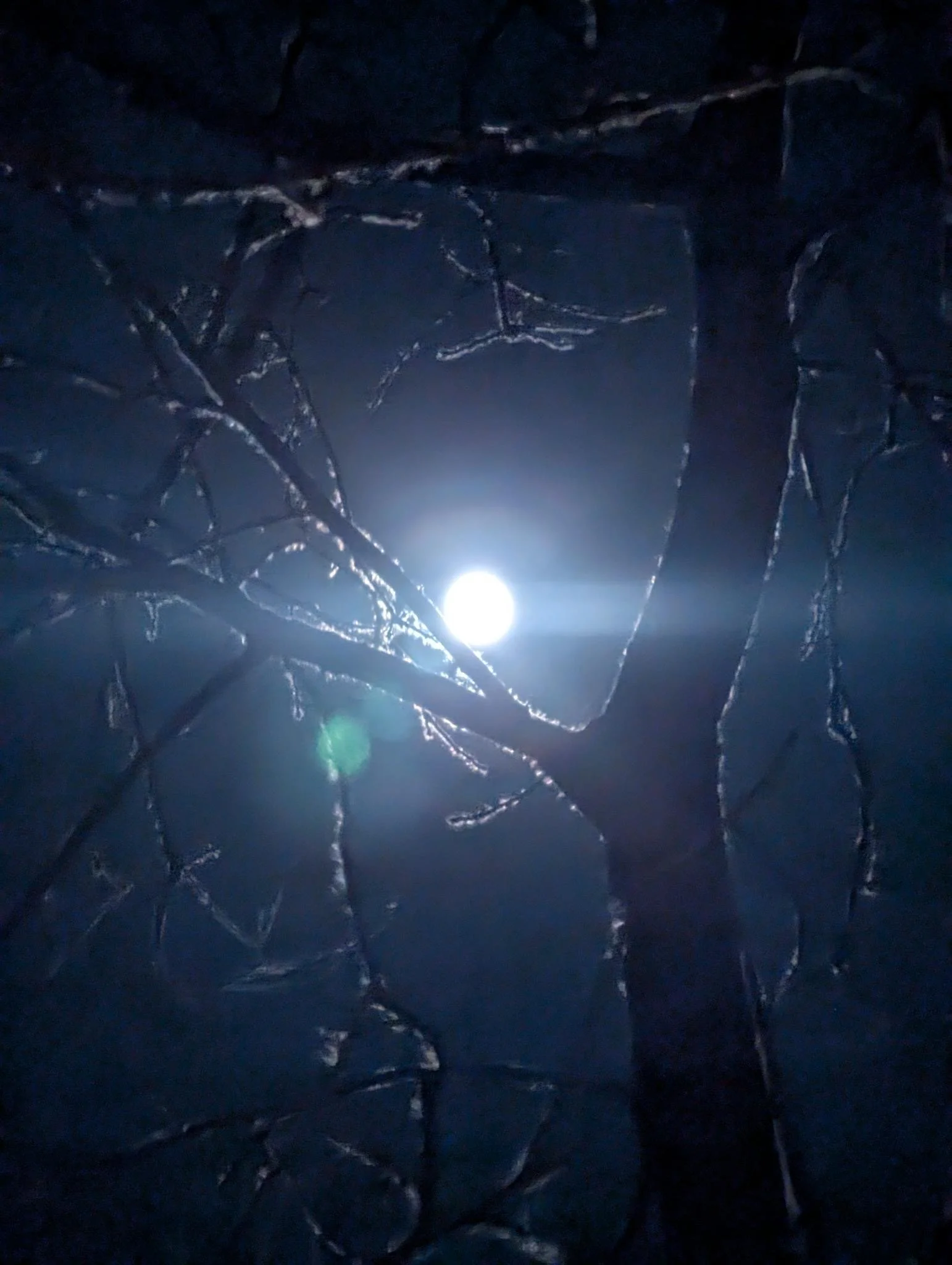 When We Fall Apart, We Grow: A Gemini Full Moon Gathering