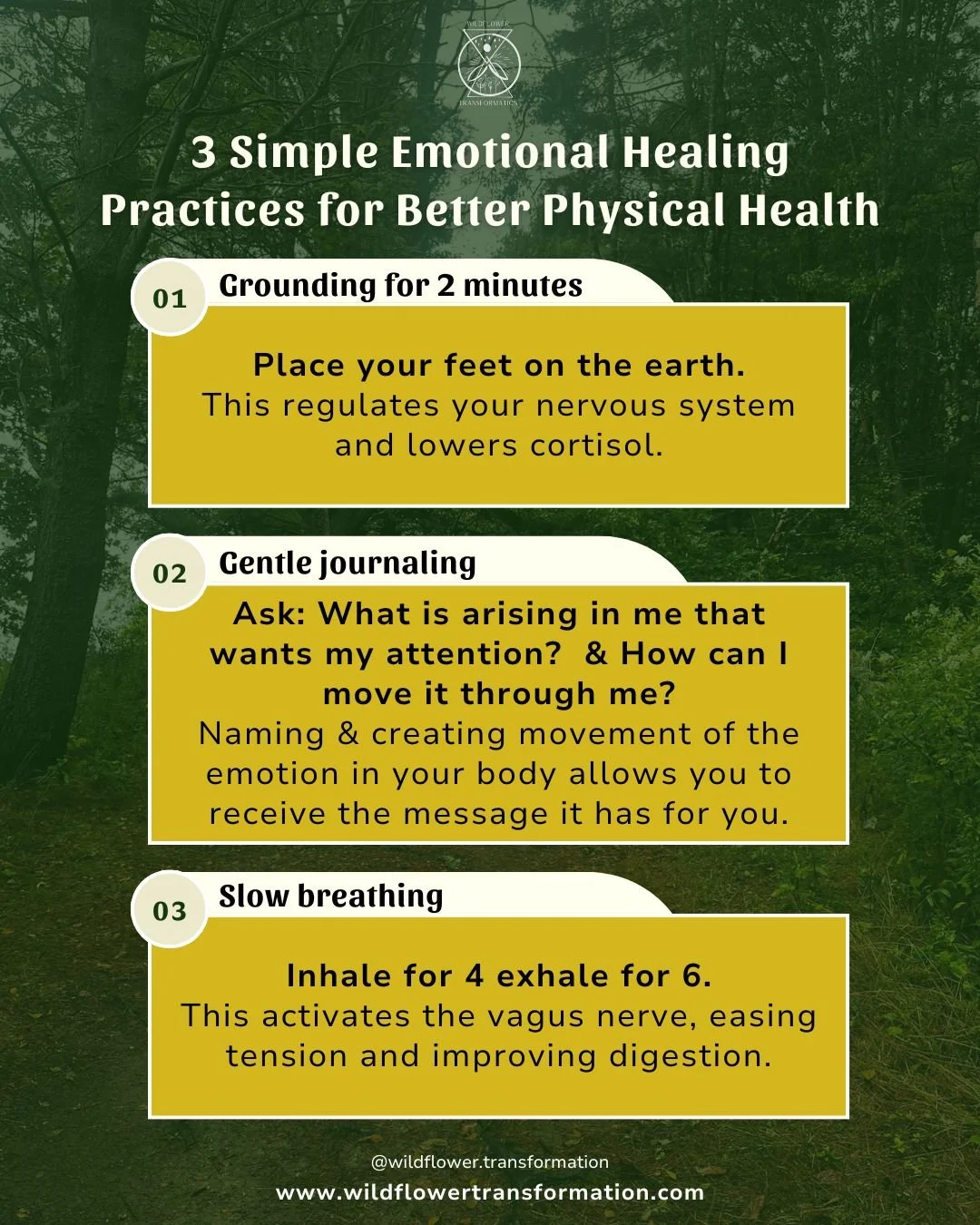 3 Practices to Support Your Body to Move Emotions

Our emotions live in our bodies, and when we give them gentle attention, our whole system begins to shift. Try these daily practices:

1️⃣ Grounding (2 minutes)
Place your feet on the earth. Feel the