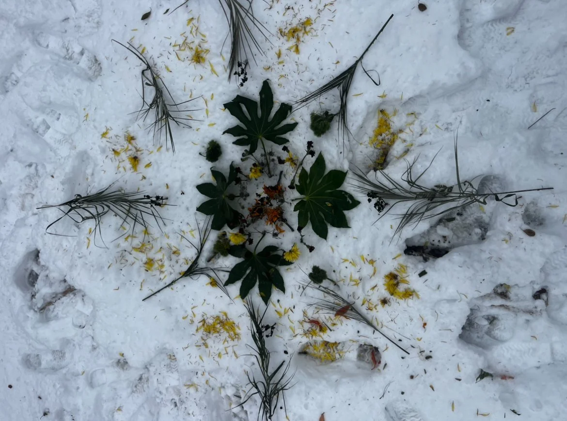 Let Winter Hold You — Cancer Full Moon Gathering