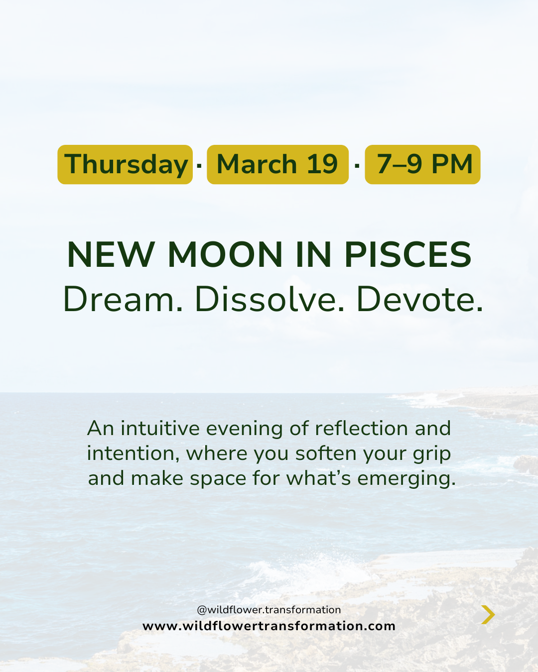 Pisces New Moon Circle: Planting Dreams in the Dark