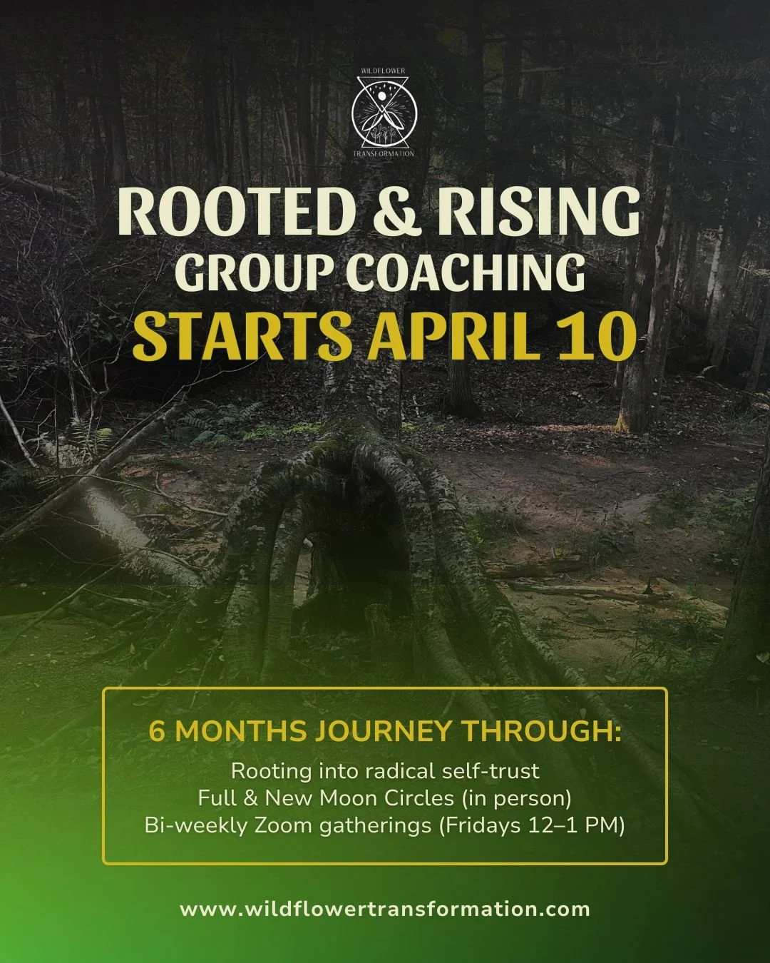 Thursday, April 10th, Rooted &amp; Rising Group Coaching officially begins and I couldn't be more excited for the women who said YES to themselves.

For 6 months, we'll journey together through:
Rooting into radical self-trust
Full &amp; New Moon Cir
