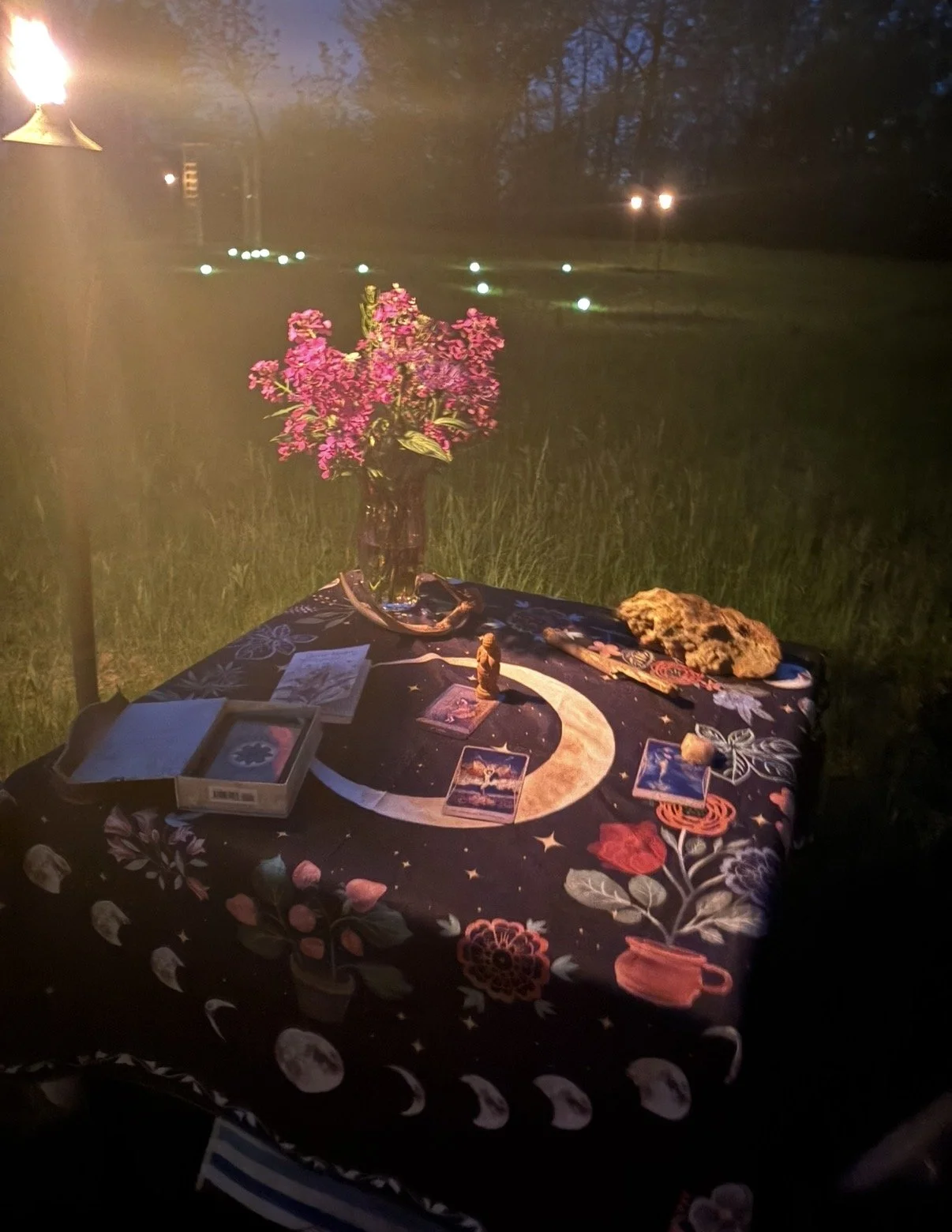 Taurus New Moon Reflection Rooted Enough to Rise