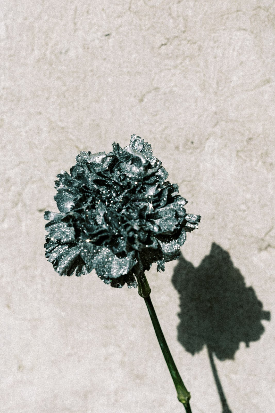 Metallic Flower Lisbon Elopement.jpeg