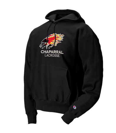 Screen Shot 2021-08-16 at 2.48.23 PM.png