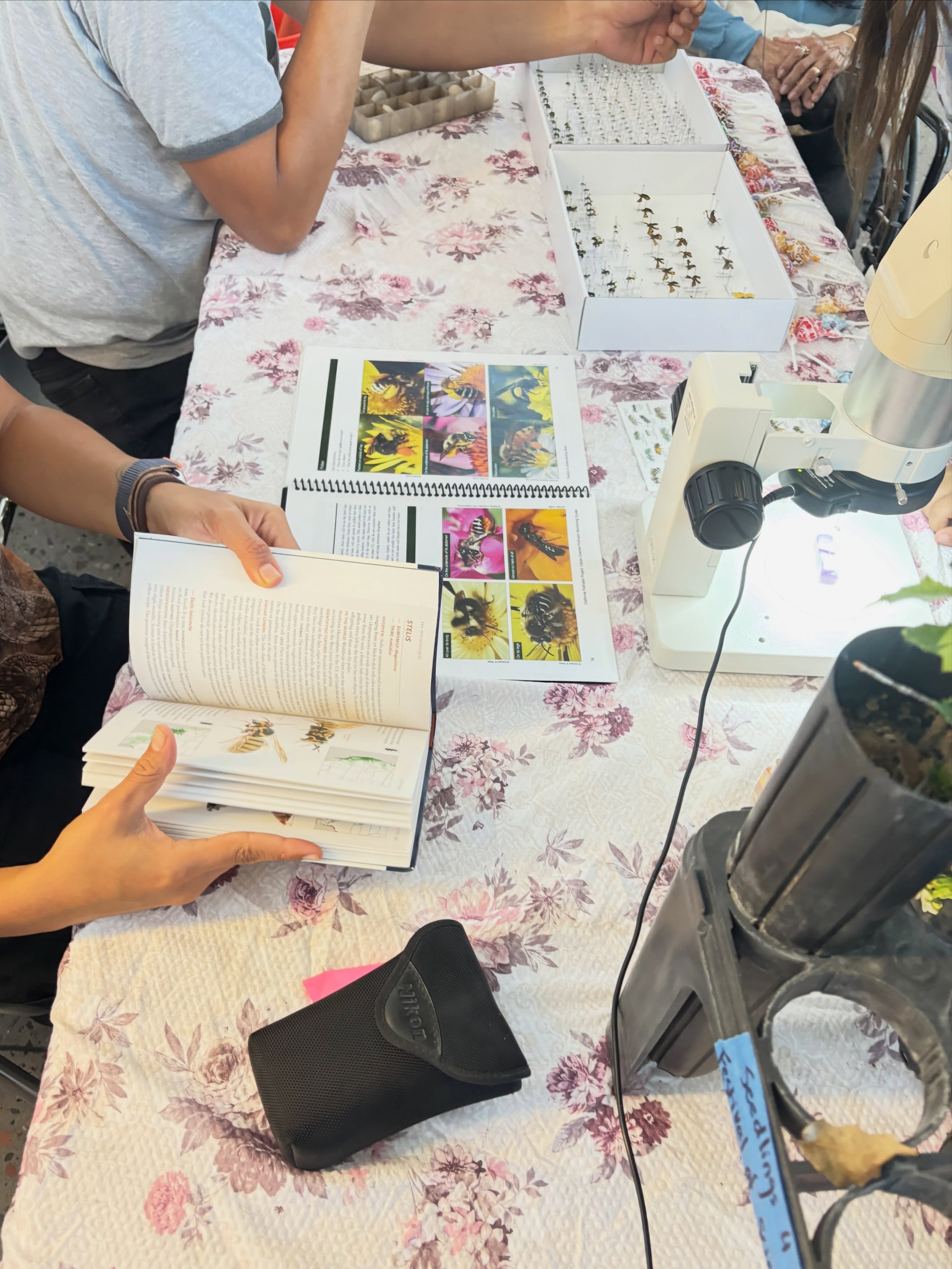 Photos from the NAU tabling event for the Flagstaff Festival of Science! 

We loved getting to see kids excited and inspired about science! This event was so rewarding! Here are some photos of some of the tables at the event!