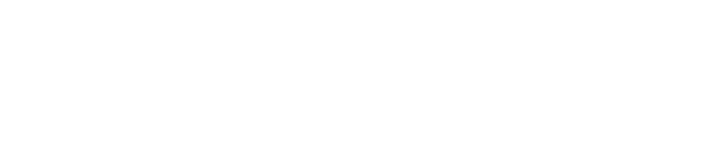 maglogo-white.png