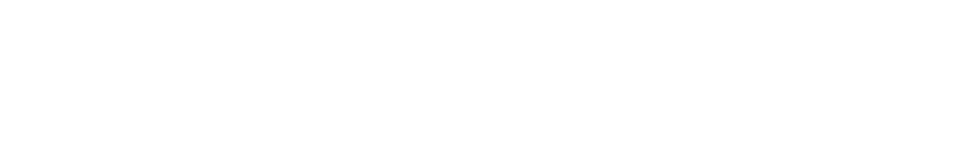 palecek logo.png