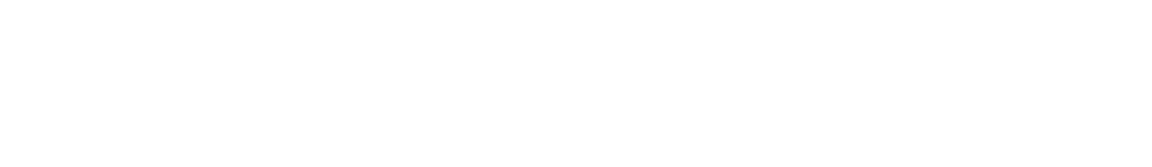 pkaufmann-logo.png