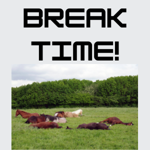 Reset Break 