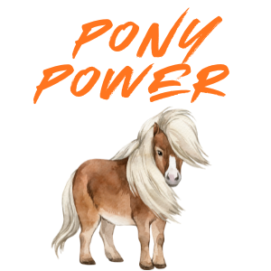 Mini Pony Power