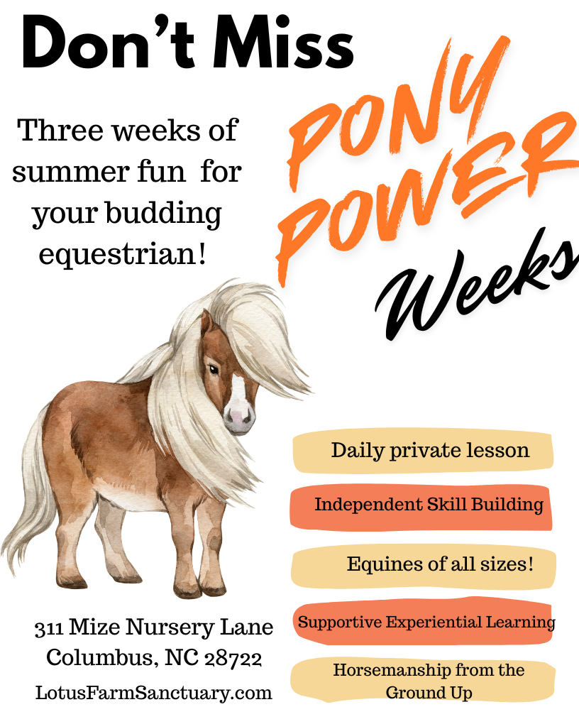 Summer Pony Power Weeks!