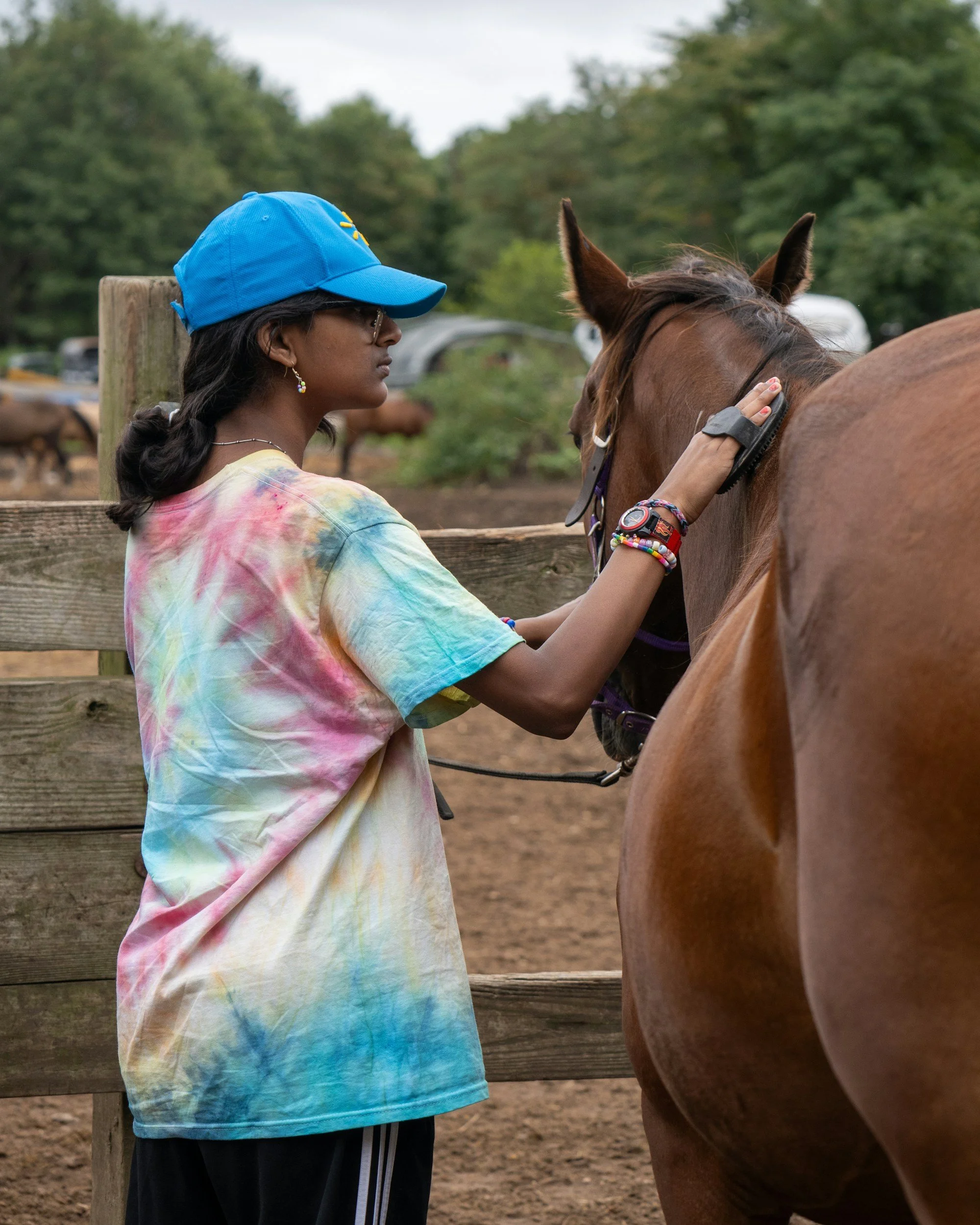 A person riding a white horse with brown spots in an outdoor riding arena surrounded by wooden fences and green trees.