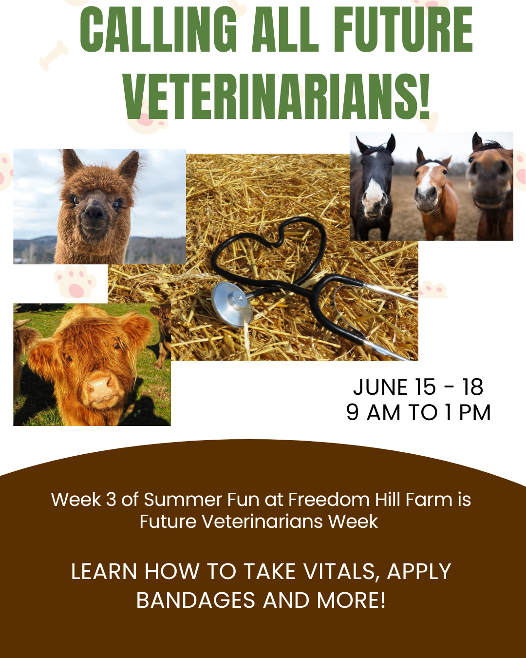 Poster calling all future veterinarians with images of an alpaca, a stethoscope on straw, a cow, a horse, and a pony, with event details for June 15-18 from 9 AM to 1 PM at Freedom Hill Farm, promoting a week of summer fun and veterinary skills learning.