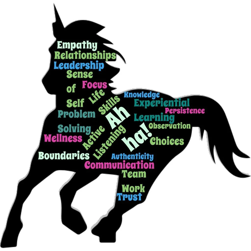 horse eal wordcloud corrected.jpg