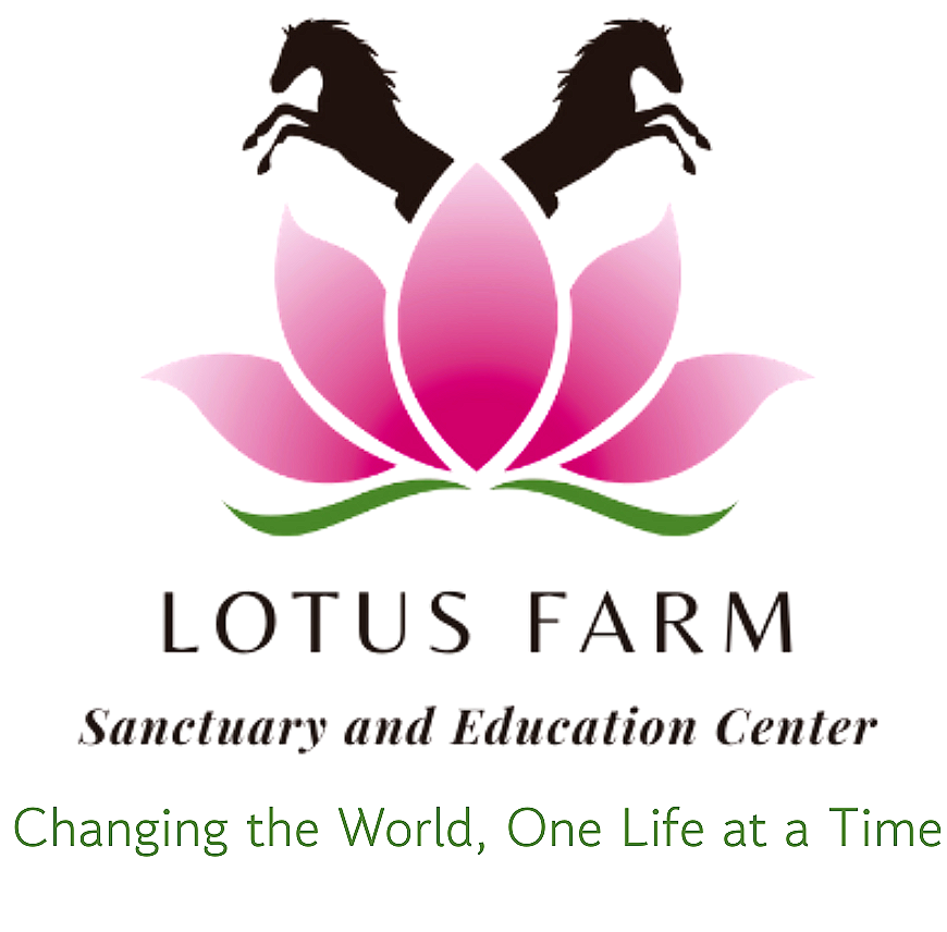 Lotus Farm Sanctuary and Education Center