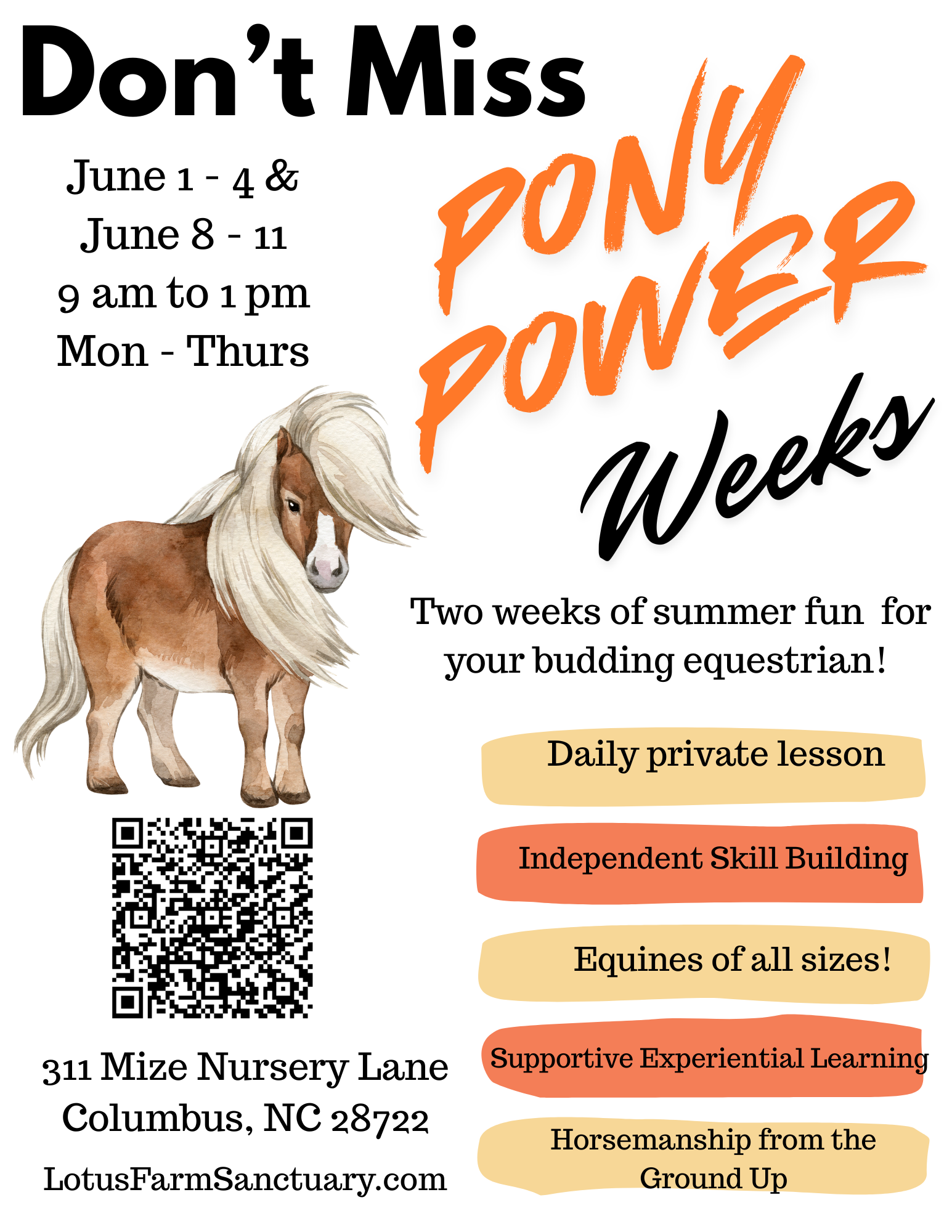 Poster for Pony Power Week event with dates, times, and activities, featuring a watercolor illustration of a small horse or pony with a flowing mane.