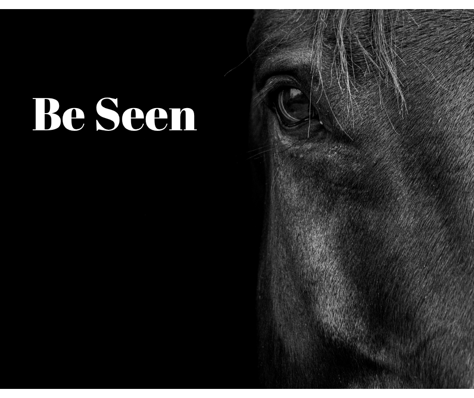 Close-up of a horse's face with the words 'Be Seen' in white on a black background.