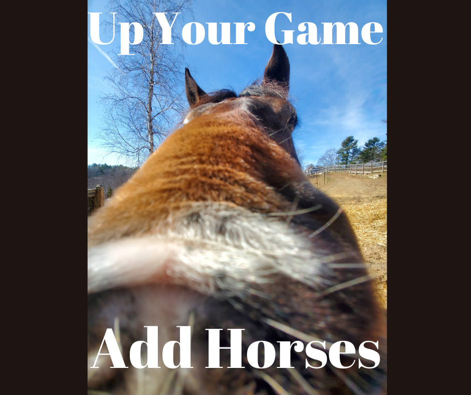 Close-up of a horse's nose with text overlay that says 'Up Your Game Add Horses'.