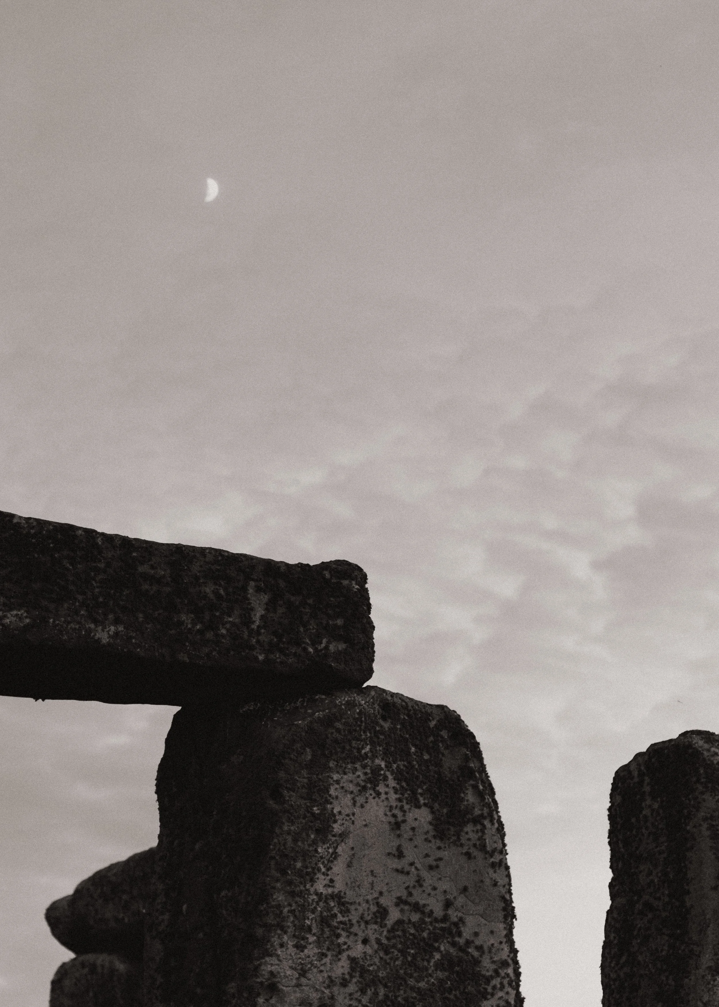 0U1A6784.jpg